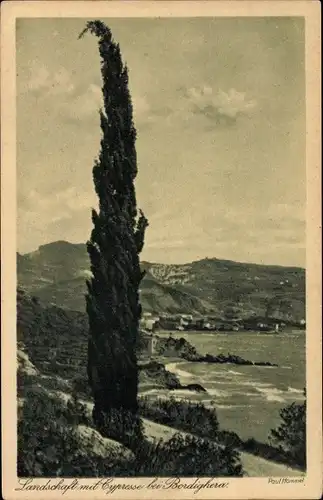 Ak Bordighera Liguria, Landschaft mit Zypresse