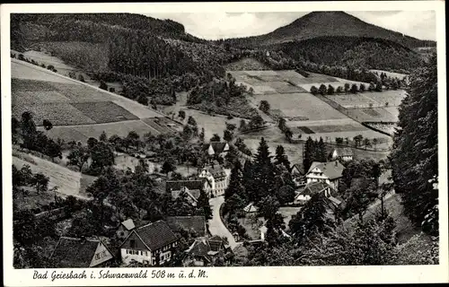 Ak Bad Griesbach im Schwarzwald, Teilansicht, Felder