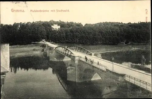 Ak Grimma in Sachsen, Muldenbrücke, Totalansicht, Stadtwald