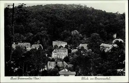 Ak Bad Freienwalde an der Oder, Blick in das Brunnental, Wohnhäuser, Wald