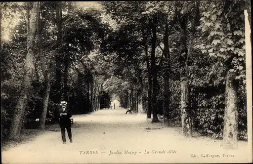 Ak Tarbes Hautes Pyrénées, Jardin Massey, La Grande Allee