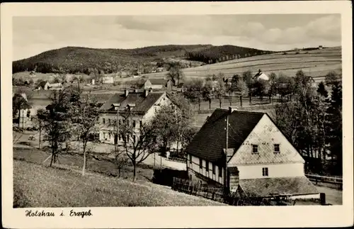 Ak Holzhau Rechenberg Bienenmühle Erzgebirge, Teilansicht vom Ort, Blumenwiese, Bäume