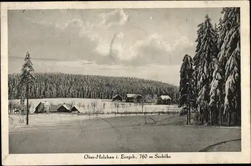 Ak Holzhau Rechenberg Bienenmühle Erzgebirge, Winterlandschaft, Häuser, Wald