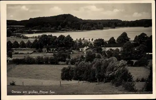 Ak Dersau am Großen Plöner See, Teilansicht vom Ort, See, Bäume, Wiesen, Gasthof zur Mühle