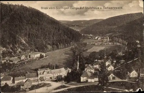 Ak Stutzhaus Luisenthal im Thüringer Wald, Talpanorama vom Ort, Blick vom Steinigen Berge