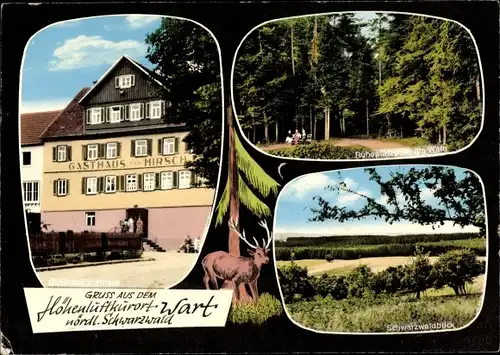 Ak Wart Altensteig im Kreis Calw Baden Württemberg, Gasthaus zum Hirschen, Waldpartie