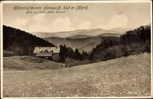 Ak Hohegeiß Braunlage im Oberharz, Hotel Dicke Tannen, Berge