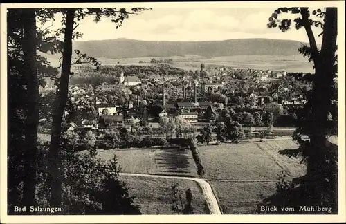 Ak Bad Salzungen im Wartburgkreis, Blick vom Mühlberg zur Stadt