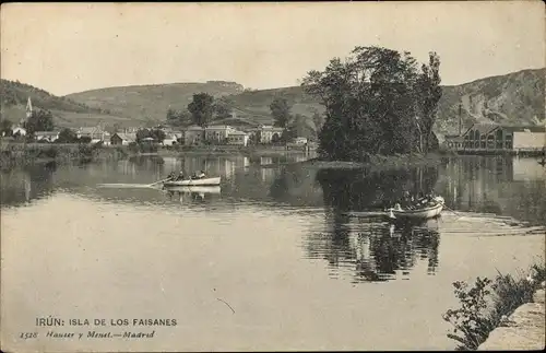 Ak Irún Irun Baskenland Spanien, Isla de los Faisanes