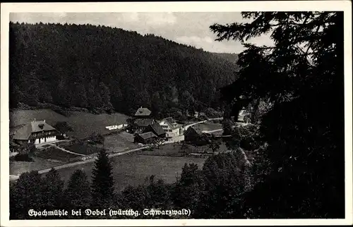Ak Eyachmühle Dobel Nordschwarzwald, Gesamtansicht