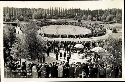 Foto Ak Berlin Charlottenburg Westend, Sommerblumen am Funkturm 1943