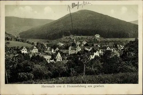 Ak Bad Herrenalb im Schwarzwald, Blick von der Hummelsburg auf Ort