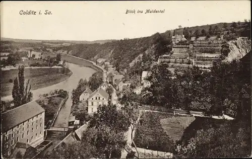 Ak Colditz in Sachsen, Muldental, Panorama vom Ort