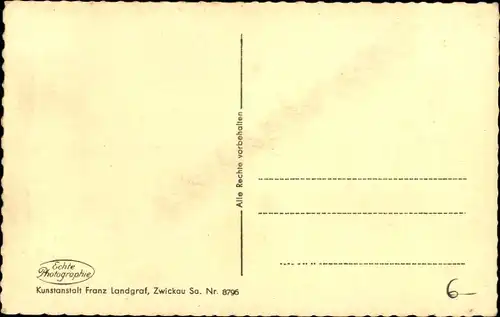 Ak Werdau an der Pleiße in Sachsen, Markt, Rathaus, Geschäft C. F. Otto, Marktdrogerie