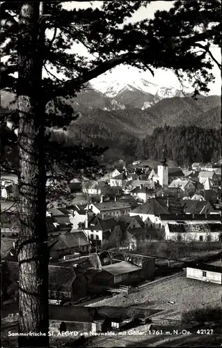Ak St. Aegyd am Neuwalde in Niederösterreich, Panorama vom Ort m. Göller