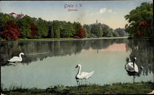 Ak Greiz in Thüringen, Parksee, Schwäne