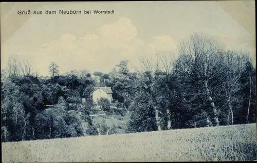 Ak Wörrstadt in Rheinland Pfalz, Neuborn