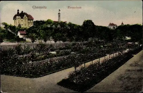 Ak Chemnitz Sachsen, Rosarium, Haus