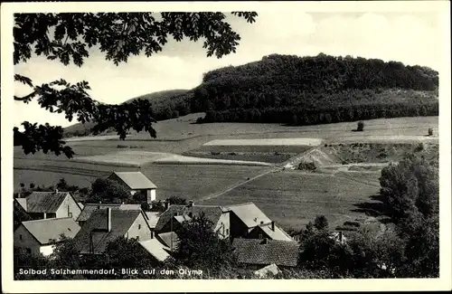 Ak Salzhemmendorf Hameln Pyrmont Niedersachsen, Panorama vom Ort u. Olymp