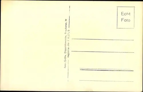 Ak Berggießhübel in Sachsen, Totalansicht