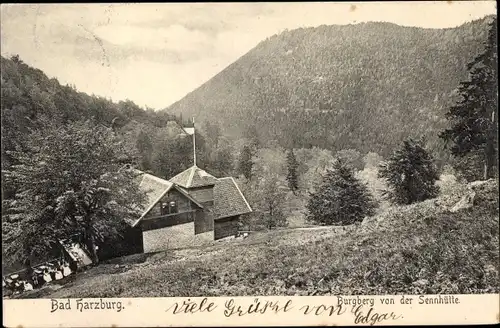 Ak Bad Harzburg in Niedersachsen, Burgberg von der Sennhütte