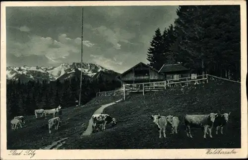 Ak Bad Tölz im Isartal Oberbayern, Waldherralm