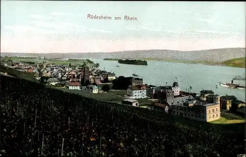 9 alte Ak Rüdesheim am Rhein Hessen, diverse Ansichten