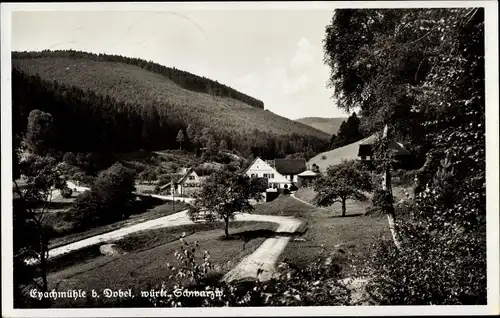 Ak Eyachmühle Dobel in Baden Württemberg, Gasthaus Eyachmühle, Wald