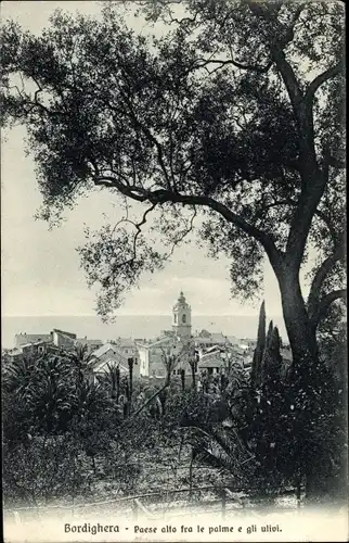 Ak Bordighera Liguria, Paese alto fra le palme e gli ulivi