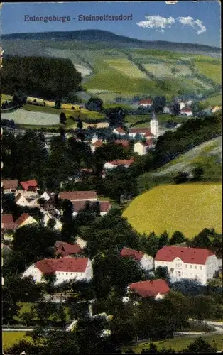 Ak Rościszów Steinseifersdorf Dzierżoniów Reichenbach Eulengebirge Schlesien, Ortschaft