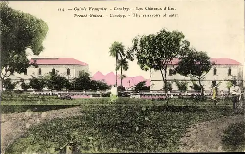 Ak Konakry Conakry Guinea, Les Châteaux d'Eau, vue générale, arbres, prairie