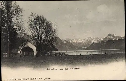 Ak Langensand Luzern Stadt Schweiz, Tribschen, Lac des IV Cantons