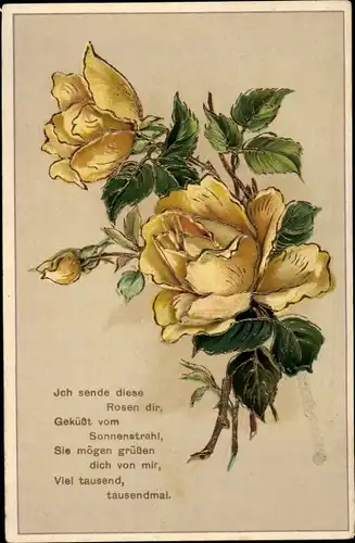 Ak Gelbe Rosen, Rosenblüten