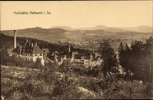 Ak Neustadt in Sachsen, Heilstätte Hohwald, Panorama