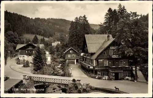 Ak Międzygórze Wölfelsgrund Schlesien, Hotel Waldschänke, Brücke