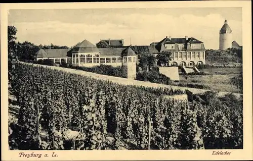 Ak Freyburg an der Unstrut Sachsen Anhalt, Edelacker