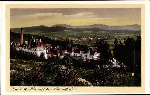 Ak Neustadt in Sachsen, Heilstätte Hohwald, Panorama