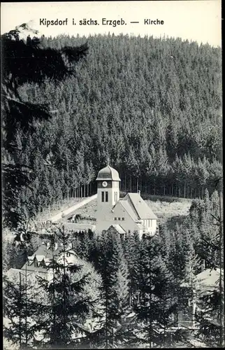 Ak Kipsdorf Altenberg im Erzgebirge, Kirche, Wald