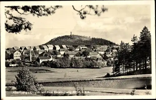 Ak Altenberg im Osterzgebirge, Panorama, Geisingberg