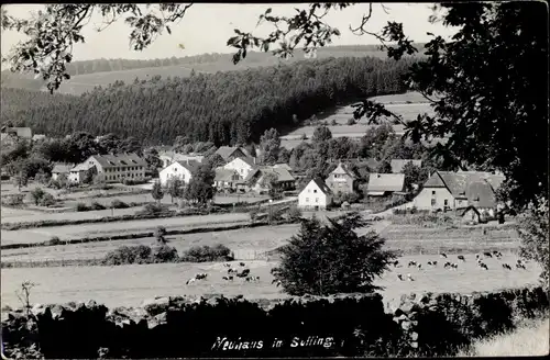 Ak Neuhaus im Solling Holzminden in Niedersachsen, Ortsansicht