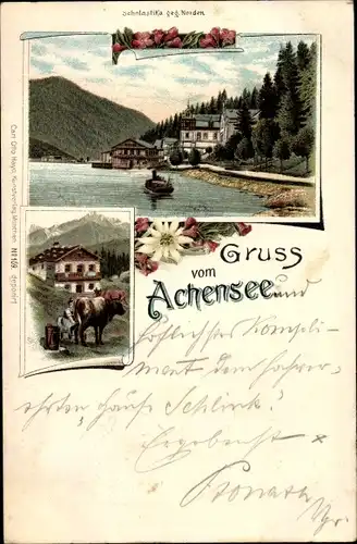 Litho Achensee, Scholastika gegen Norden, Kuhweide