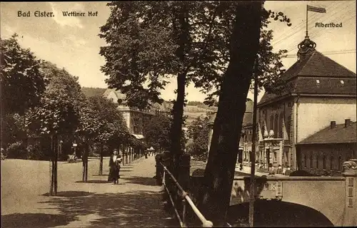 Ak Bad Elster im Vogtland, Wettiner Hof, Albertbad, Allee