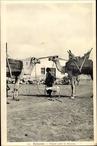 Ak Dschibuti Djibouti, Départ pour la Brousse, chameaux, chèvre, femme indigène