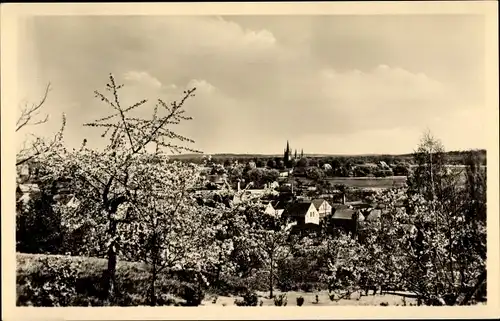 Ak Werder an der Havel, Panorama