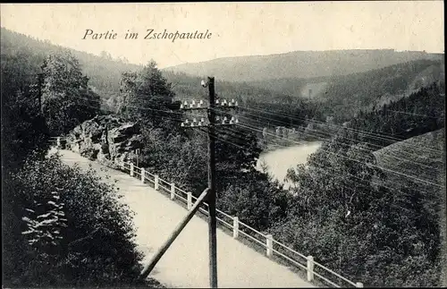 Ak Mittweida in Sachsen, Zschopautal, Panorama