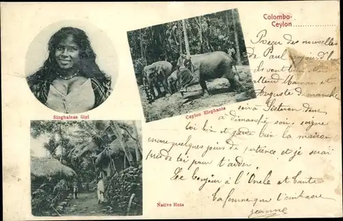 Ak Colombo Ceylon Sri Lanka, Singhalese Girl, Native Huts, Elefanten