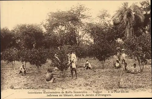 Ak Nagpur Indien, Missionnaires de Marie Immaculée, Infirmes au travail, dans le Jardin d'Orangers