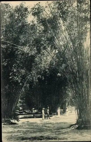 Ak Rio de Janeiro Brasilien, Jardim Botânico