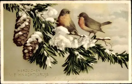 Ak Frohe Weihnachten, Tannenzweig, Tannenzapfen, Vögel, Schnee