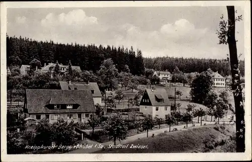 Ak Berggießhübel in Sachsen, Ansicht vom Stadtteil Zwiesel